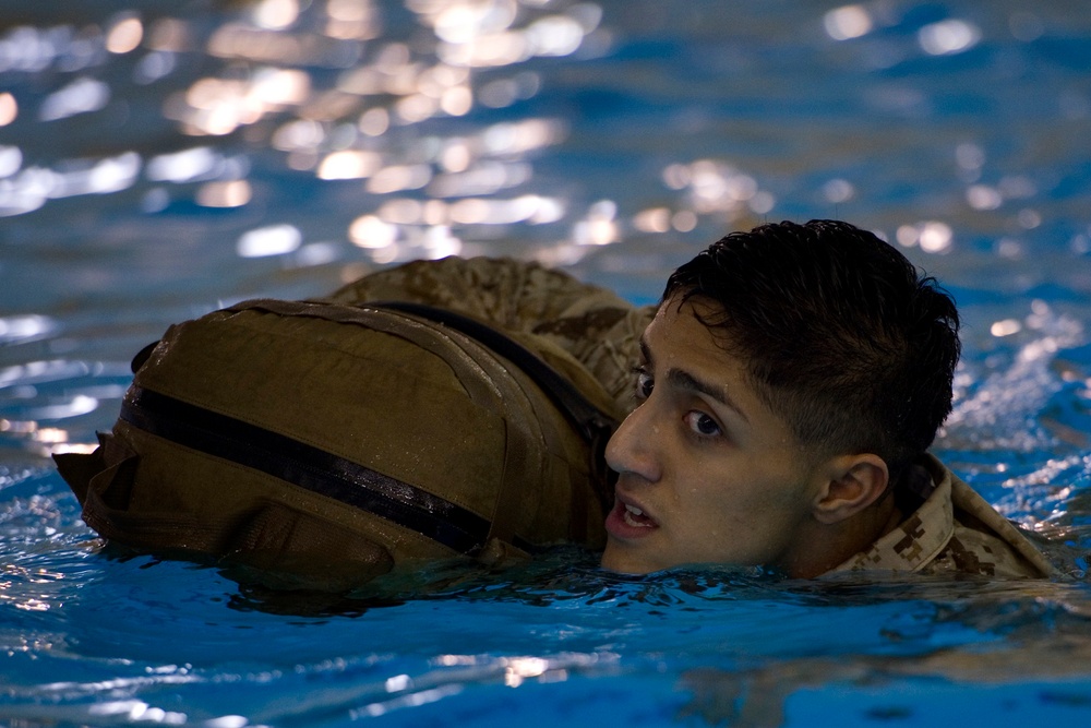Pack swimming