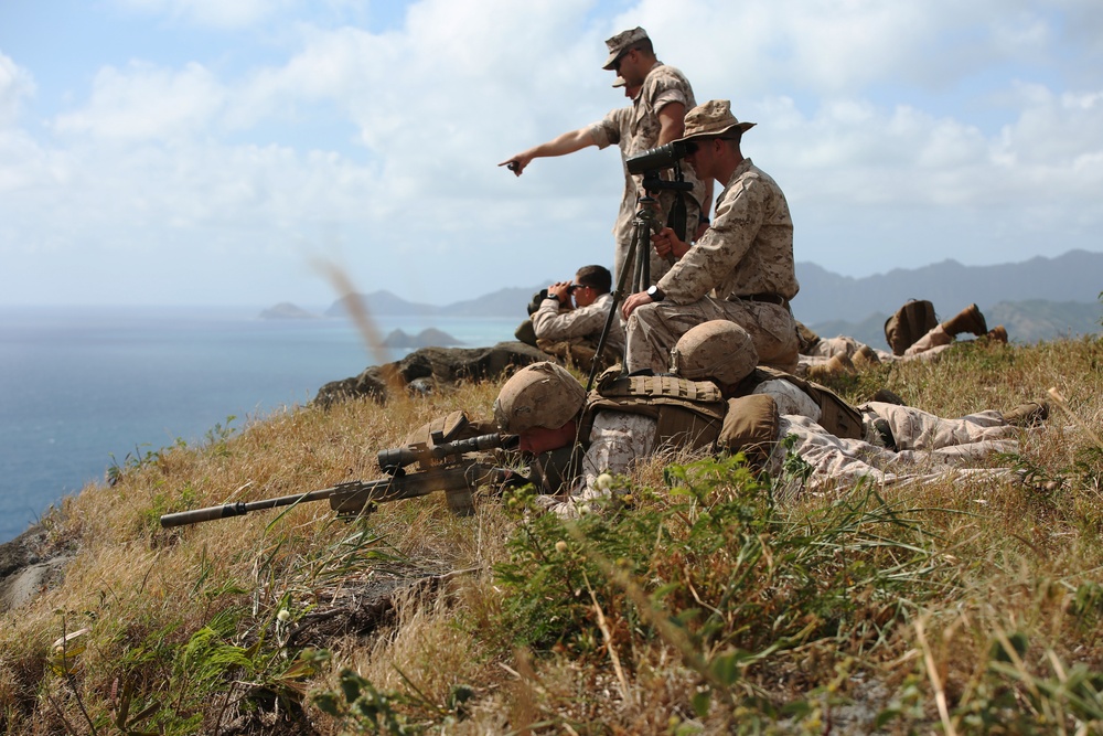 Hawaii Snipers train in high angle shooting