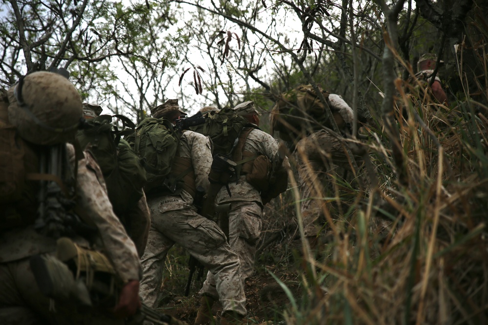 Hawaii snipers train in high angle shooting