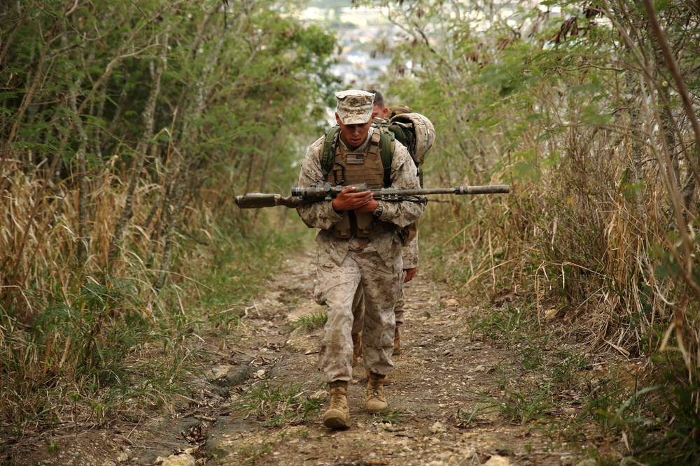 Hawaii snipers train in high angle shooting