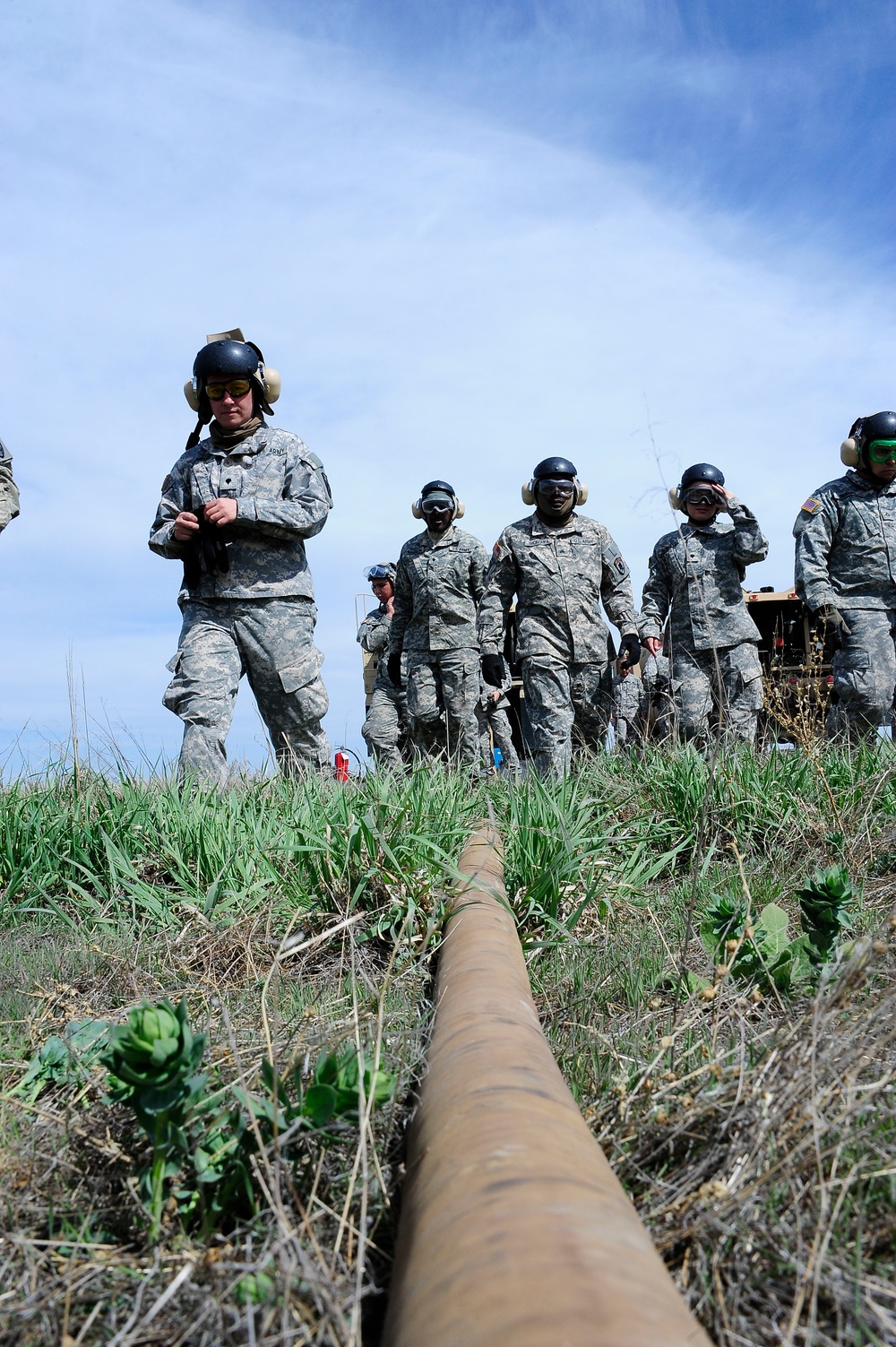 Joint simulated wildfire training