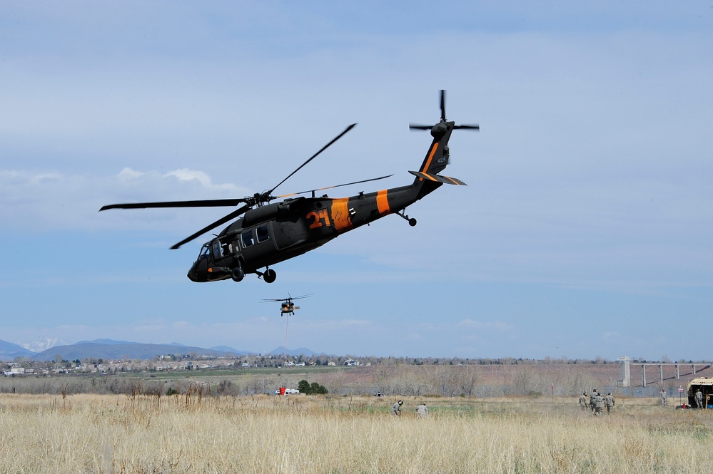 Joint simulated wildfire training