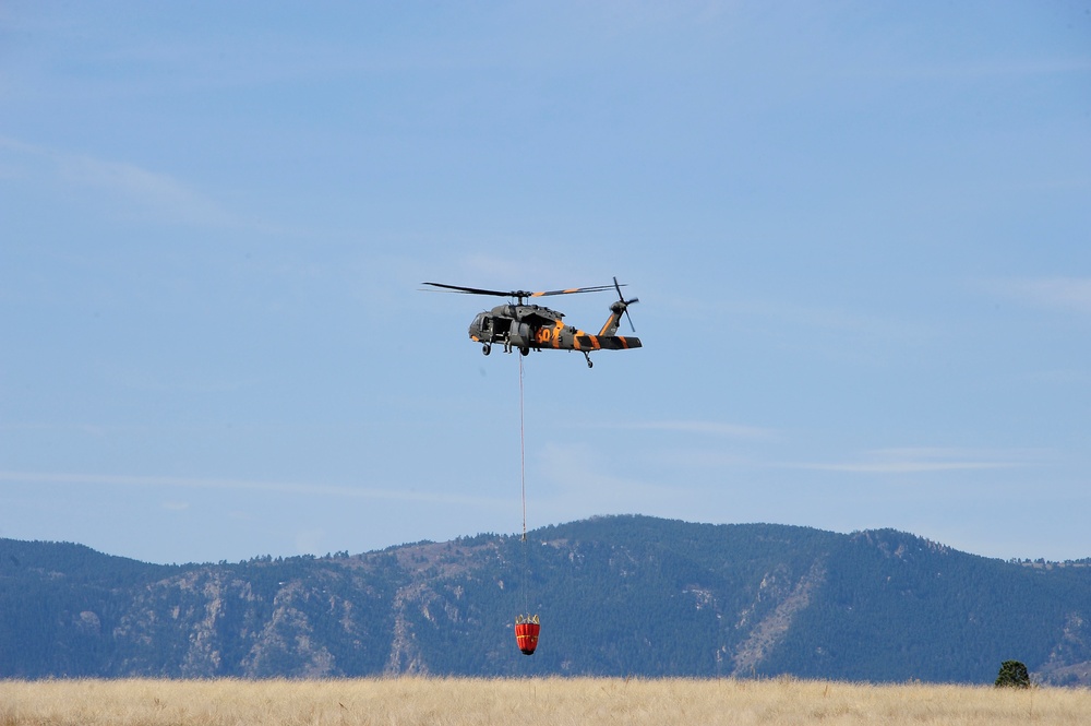 Joint simulated wildfire training