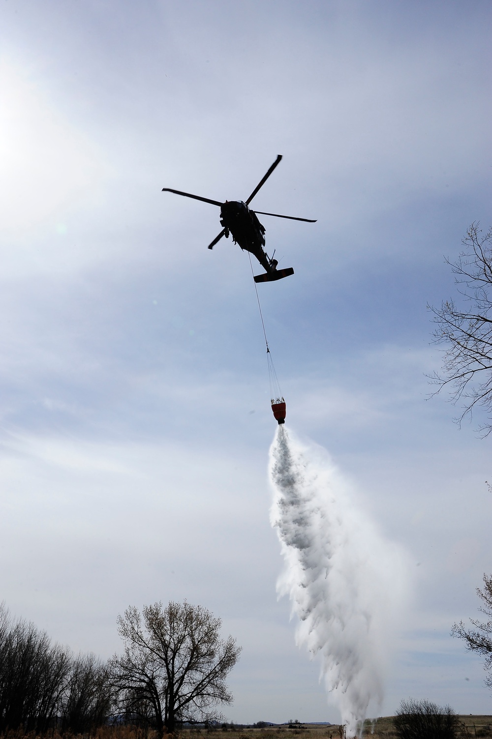 Joint simulated wildfire training