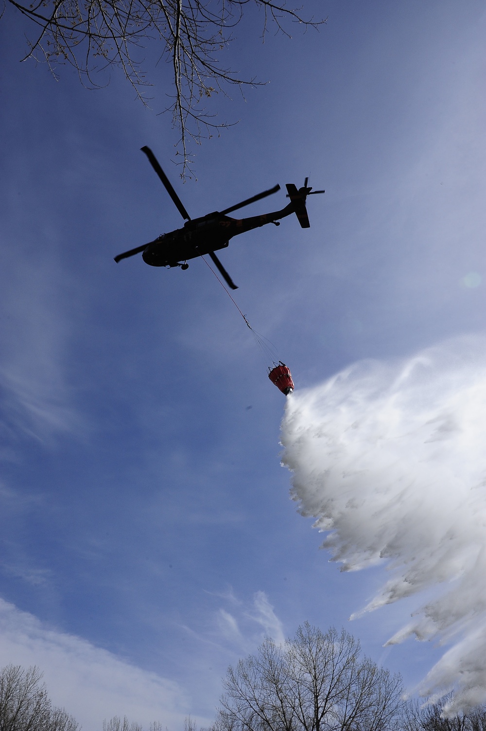 Joint simulated wildfire training