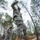 Confidence course