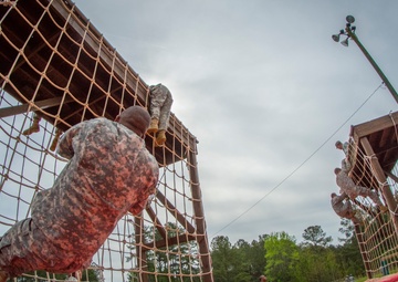 Rope ladder obstacles