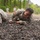 Low-crawl