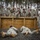 108th Training Command goes wild at confidence course