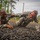 Senior officers low-crawl to the finish line