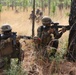 Marines train in amphibious assault