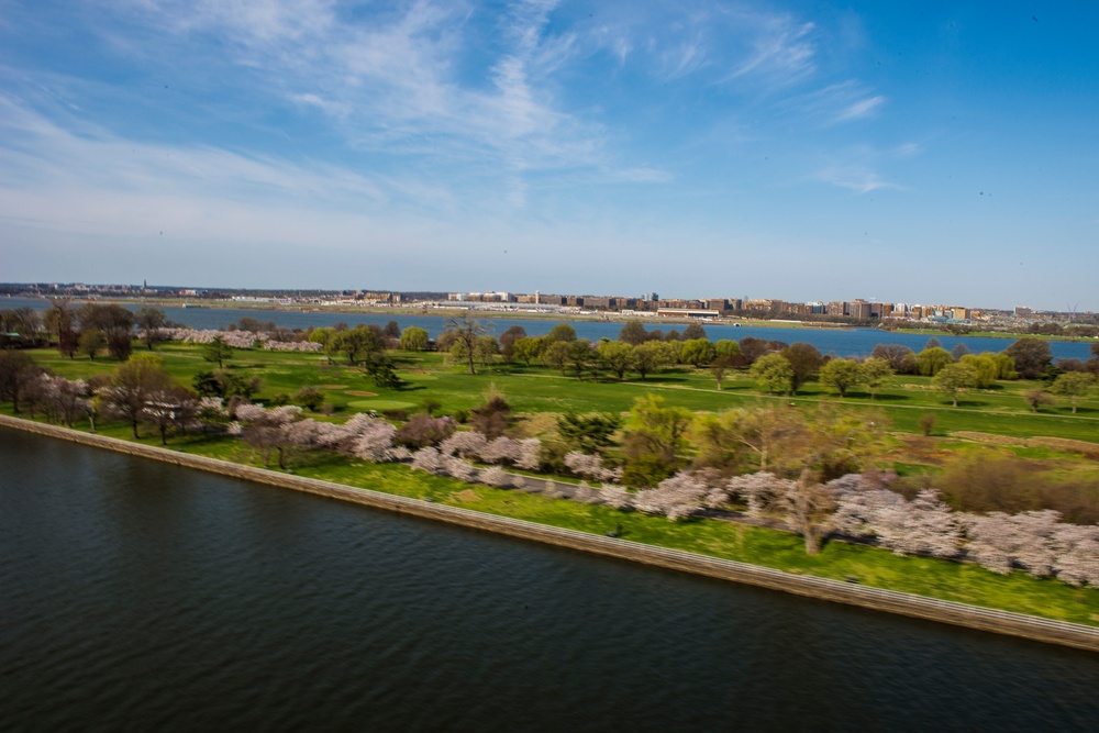 The National Cherry Blossom Festival aerial views