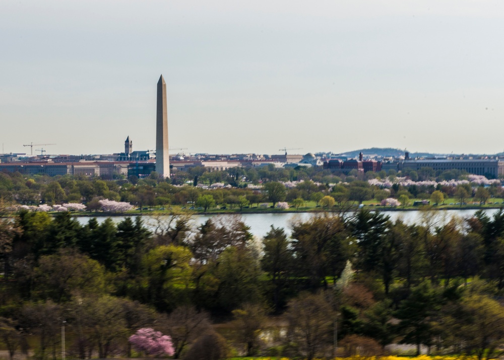 The National Cherry Blossom Festival aerial views