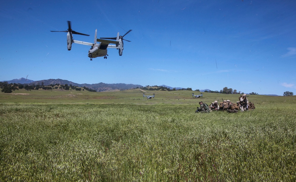 1st Battalion, 7th Marine Regiment, conducts a long-range raid in support of Exercise Desert Scimitar 2015