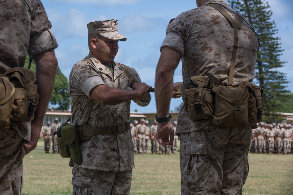 Farewell Stutler, Aloha Lozano