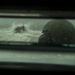 Mechanized Integration: 2nd Assault Amphibian Battalion conducts mechanized infantry assault