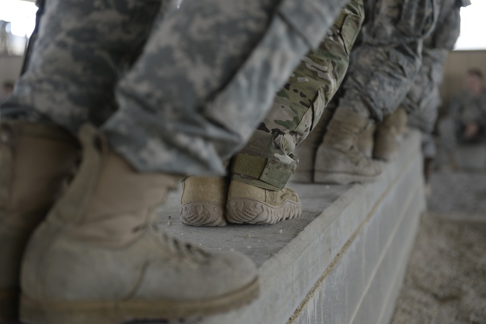 Combined Joint Operational Access Exercise 15-01