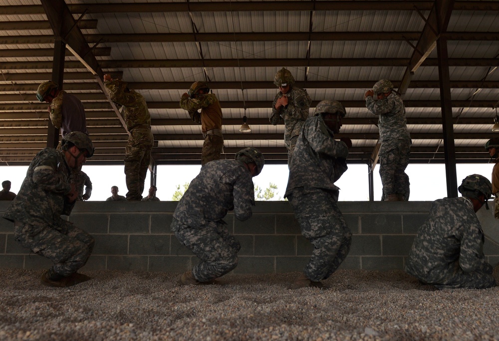 Combined Joint Operational Access Exercise 15-01