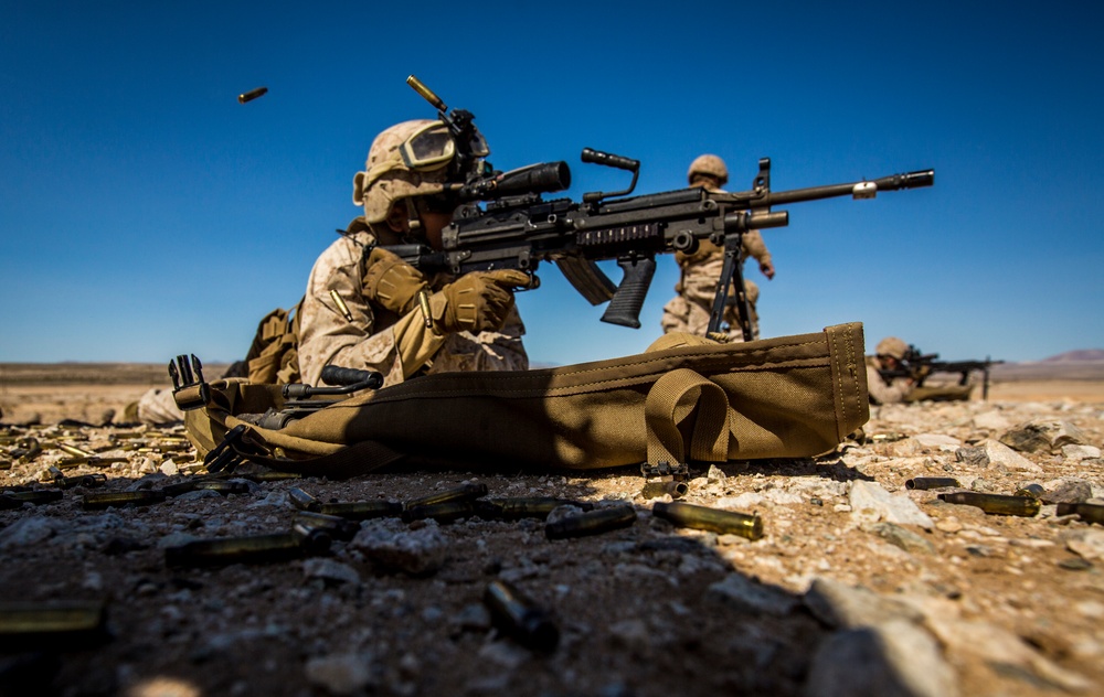 DVIDS - Images - Marines train with K-9 partners [Image 1 of 5]