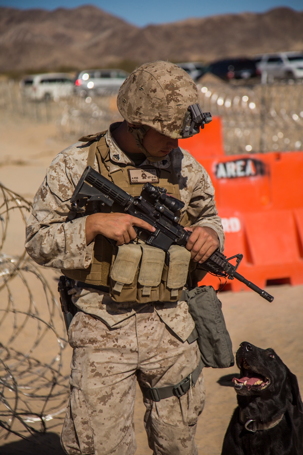 Marines train with K-9 partners