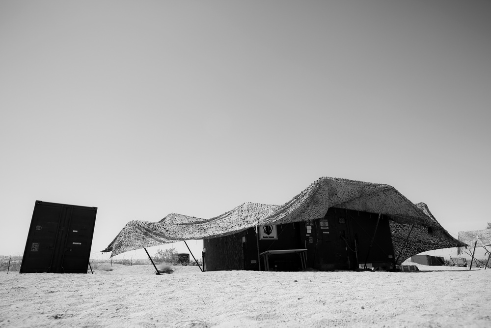 Desert Scimitar 2015