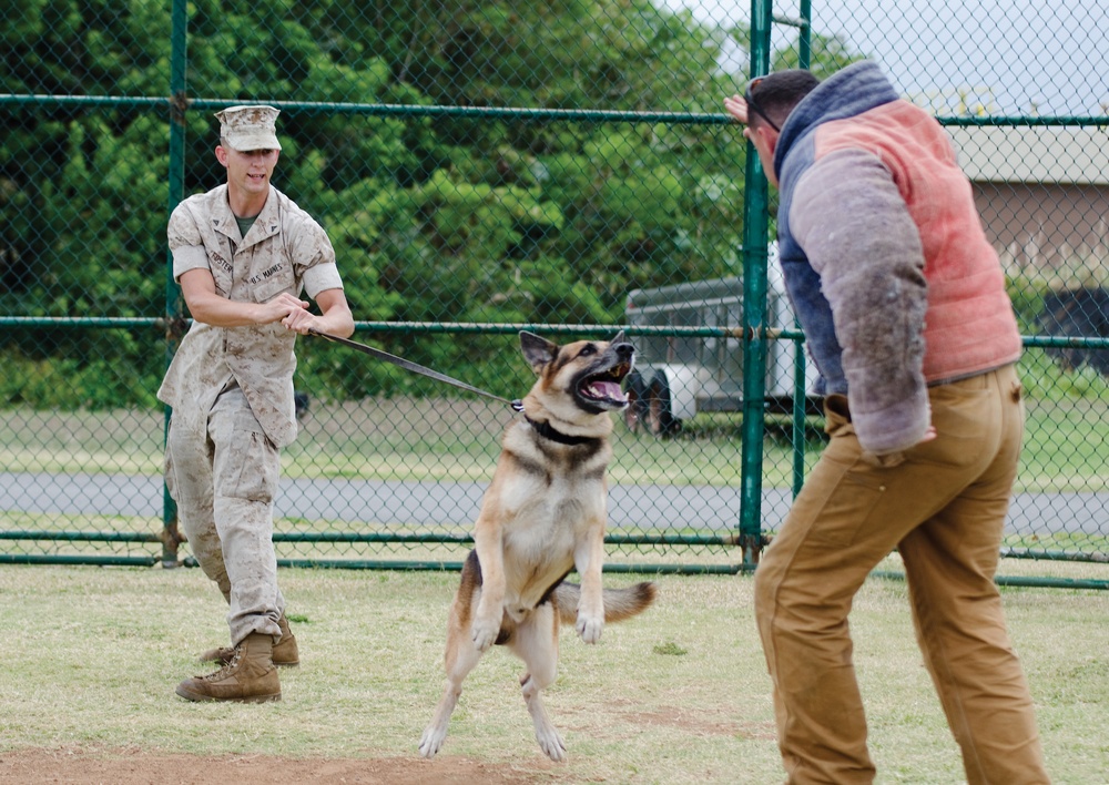 PMO K-9 unit conducts bite training