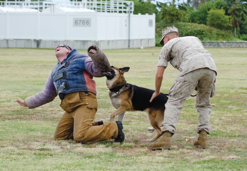 PMO K-9 unit conducts bite training