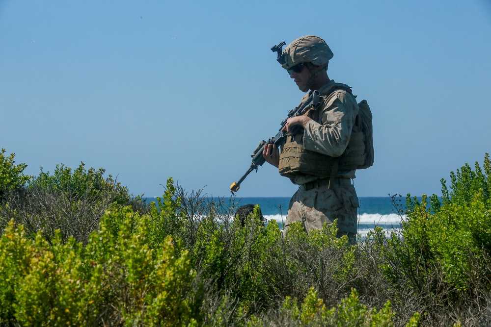 Beach Patrol