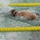 Overcoming one-in-a-million infection to compete Overcoming one-in-a-million infection to compete