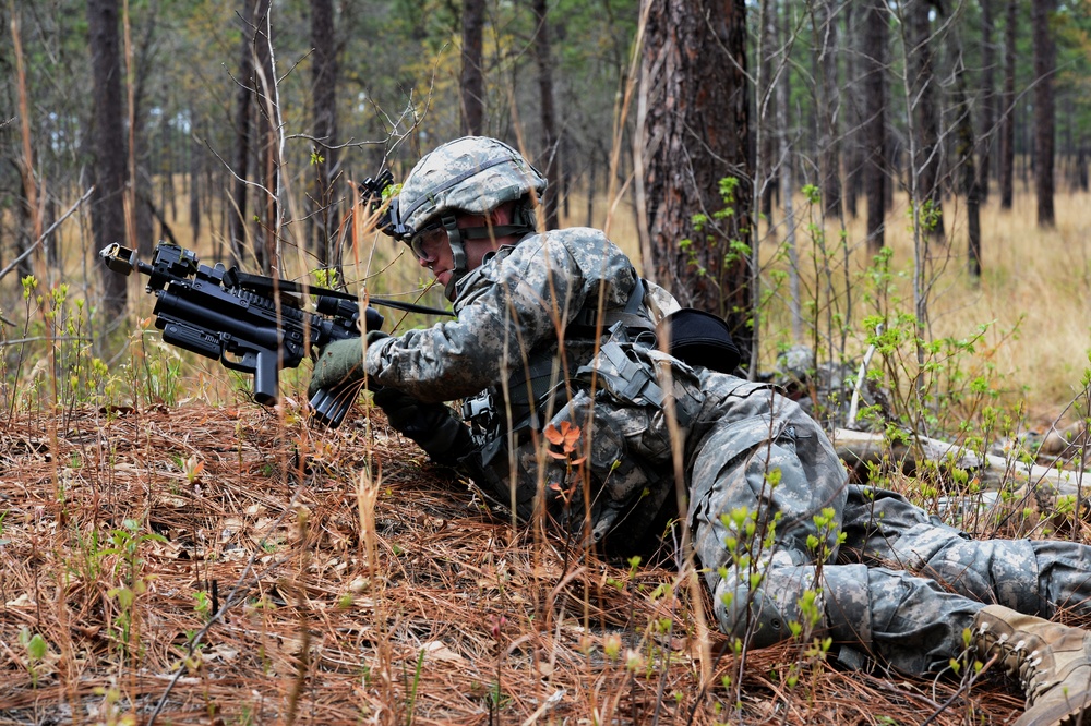 Combined Joint Operational Access Exercise 15-01