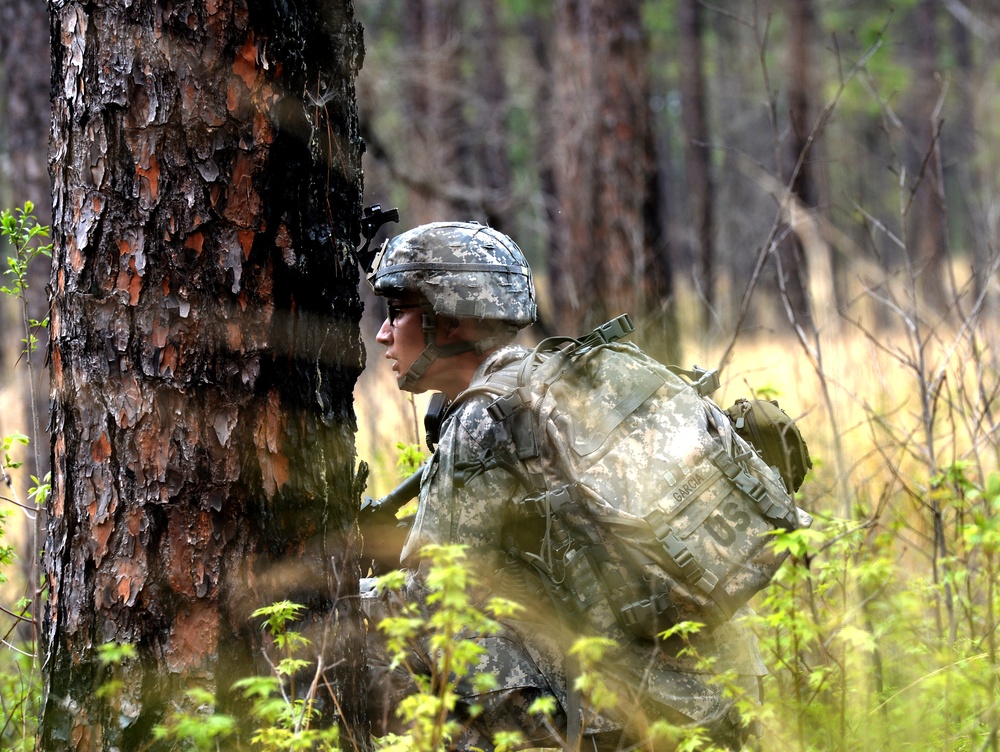 Combined Joint Operational Access Exercise 15-01