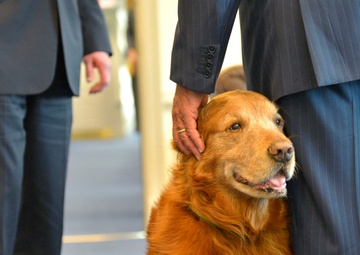 Secretary of Defense Ash Carter