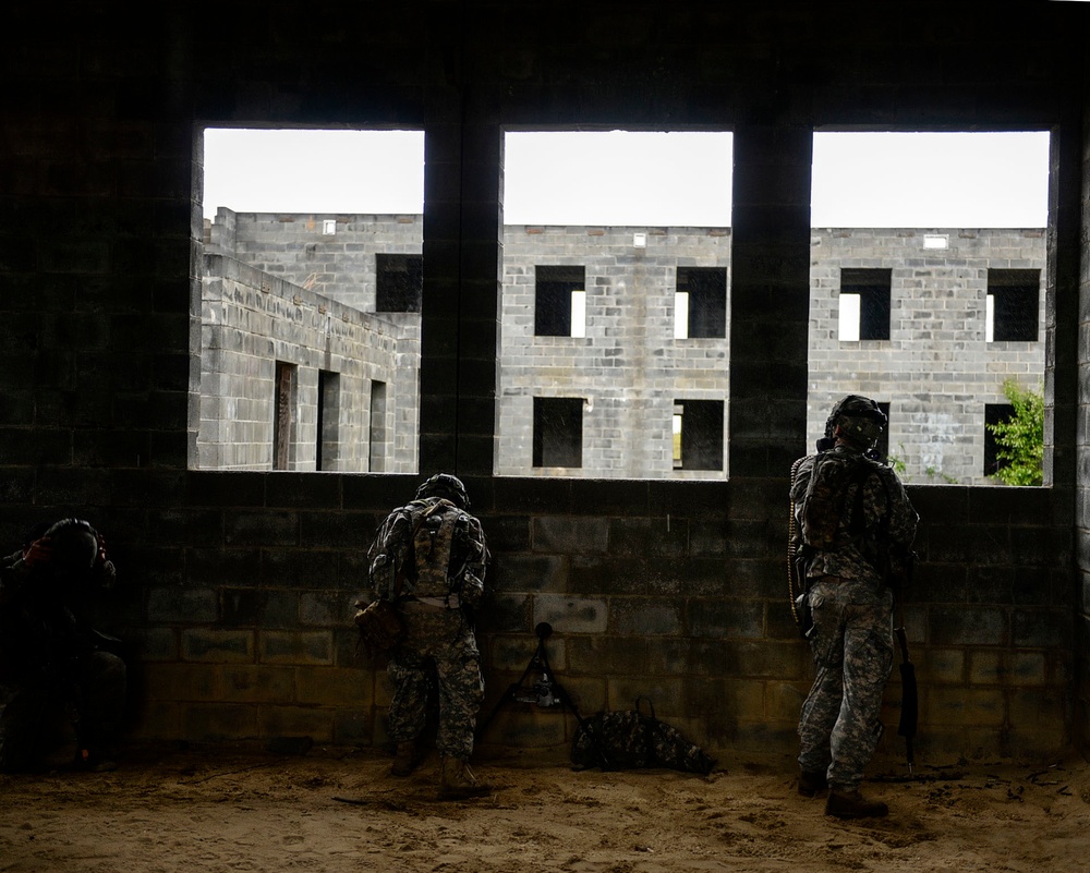 Combined Joint Operational Access Exercise 15-01