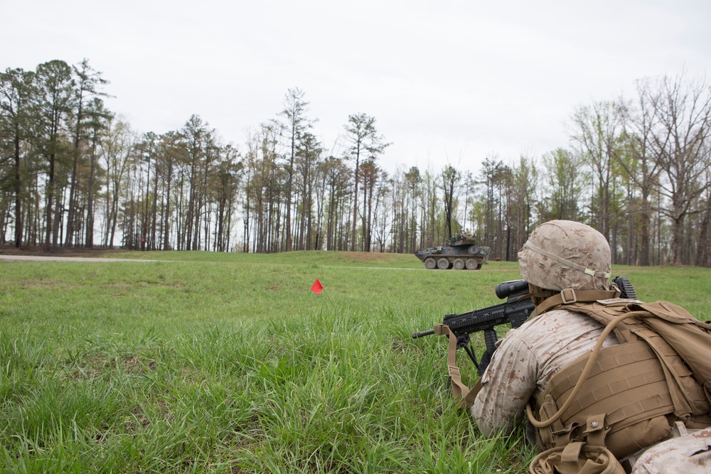 Fox Company, BLT 2/6, conducts an infantry platoon battle course