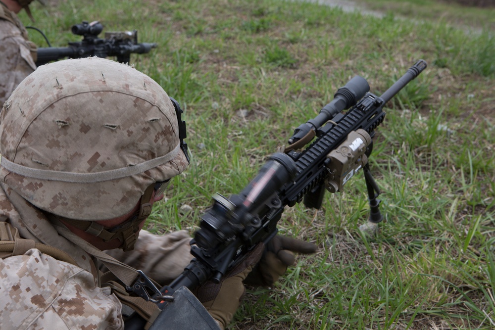 DVIDS - Images - Fox Company, BLT 2/6, conducts an infantry platoon ...