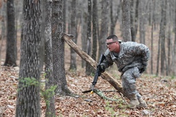 Phoenix forges its leaders