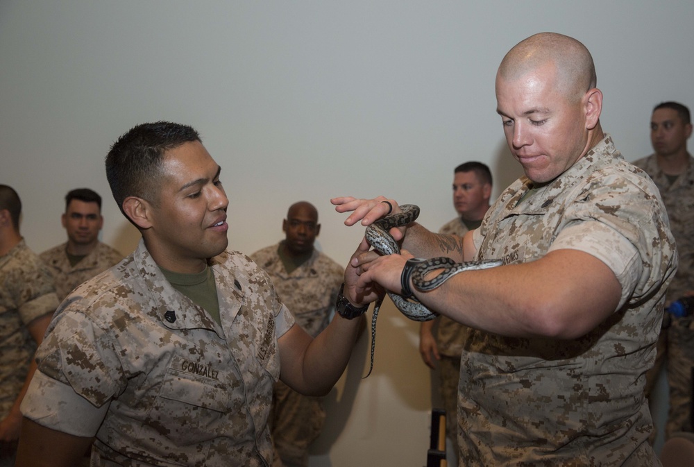 1st Battalion, 4th Marines receive Australian wildlife brief to start Marine Rotational Force - Darwin 2015