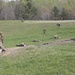 I'm up, they see me, I'm down: Battalion Landing Team 2/6 conducts Infantry Platoon Battle Course