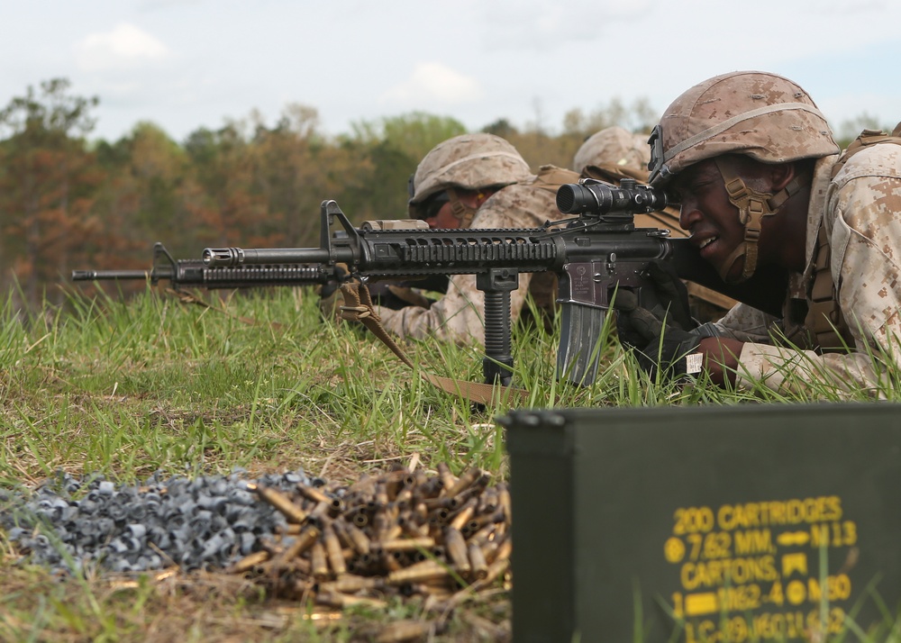 I'm up, they see me, I'm down: Battalion Landing Team 2/6 conducts Infantry Platoon Battle Course