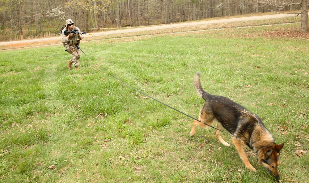 LAR Marines take to the raid