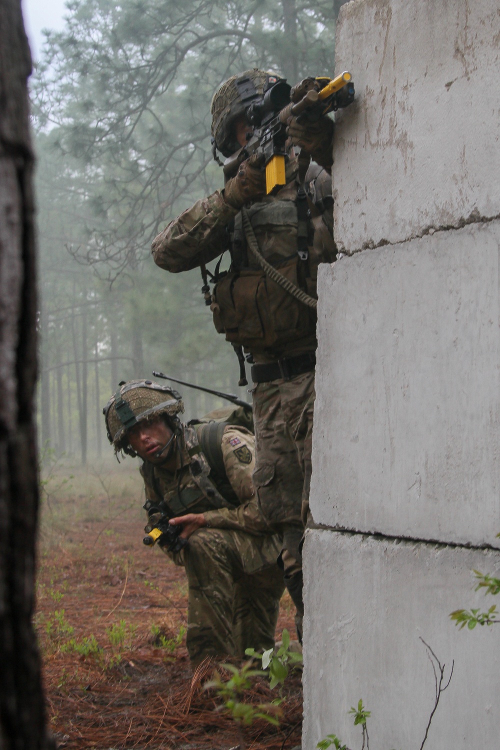 Bilateral Exercise culminates with interoperability assault