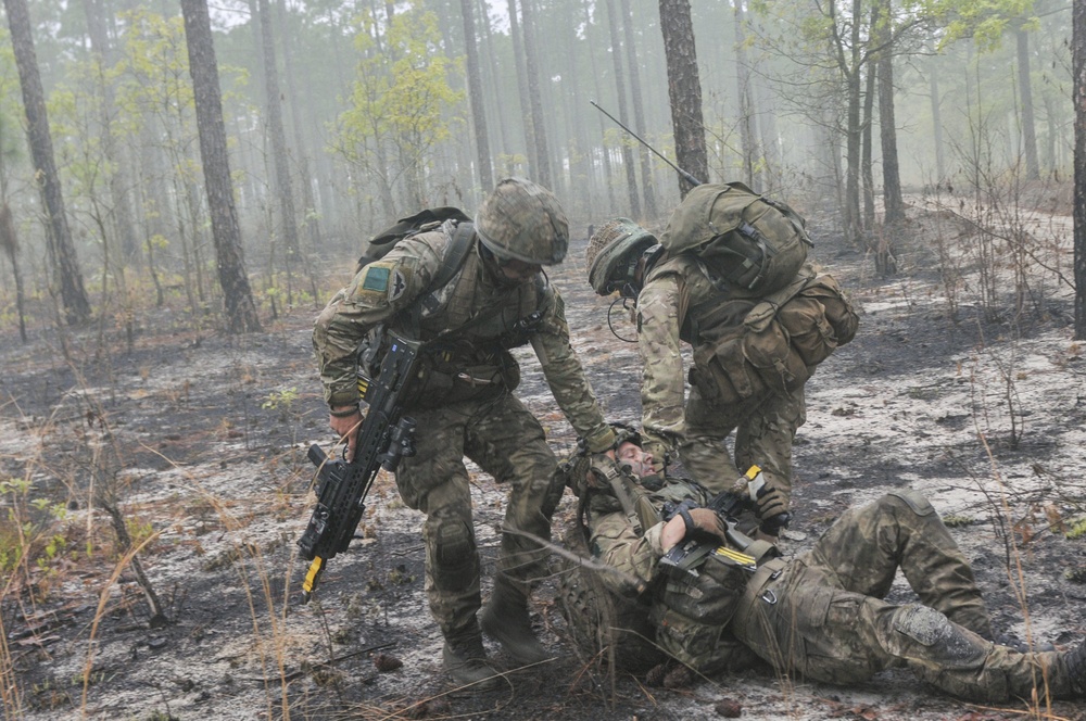 British 16 Air Assault Brigade mission Essential During Combine Joint Operational Access Exercise 15-01