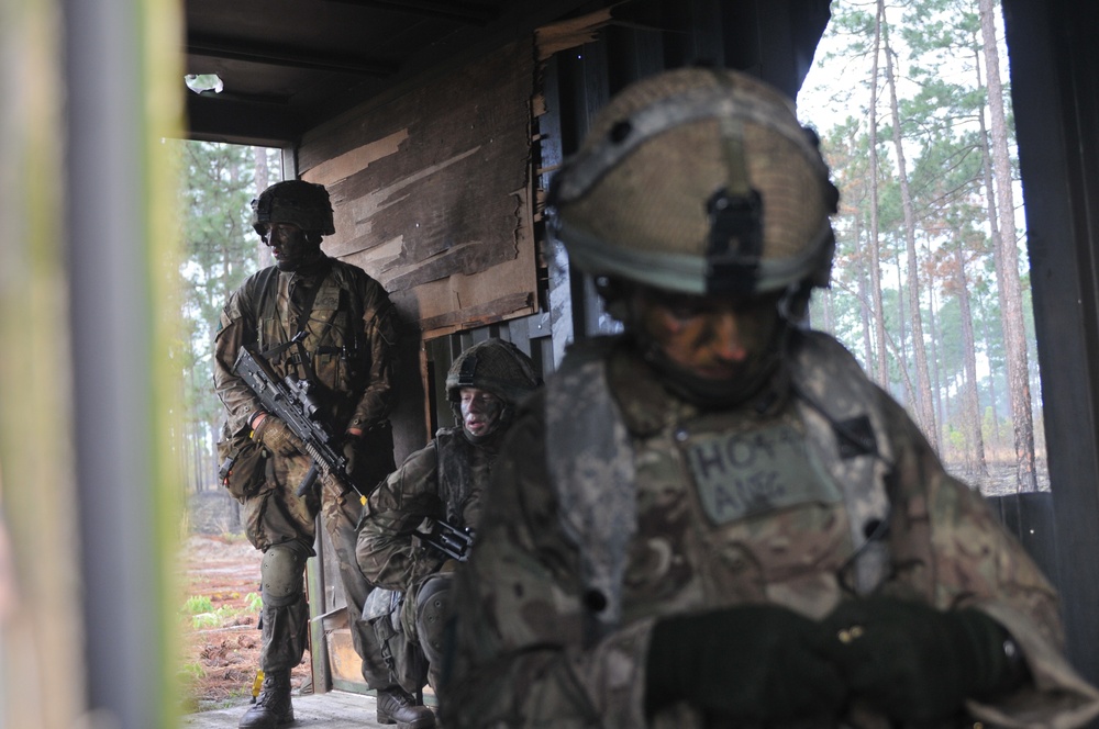 British 16 Air Assault Brigade mission Essential During Combine Joint Operational Access Exercise 15-01