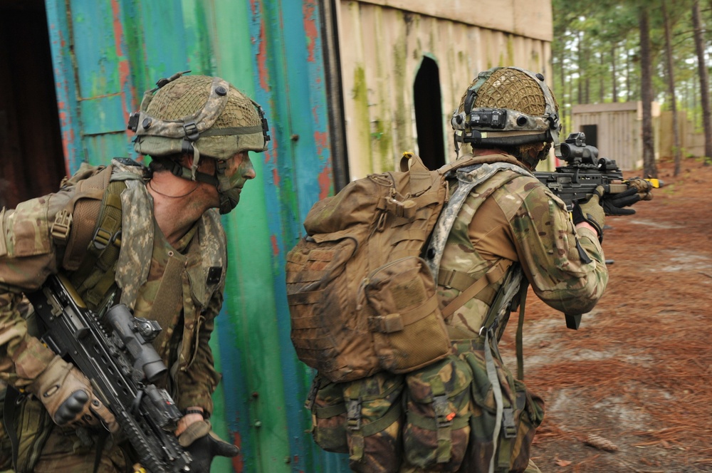 British 16 Air Assault Brigade mission Essential During Combine Joint Operational Access Exercise 15-01