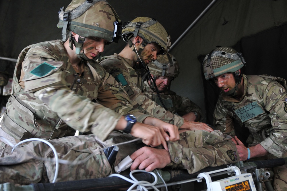 British 16 Air Assault Brigade Mission Essential During Combine Joint Operational Access Exercise 15-01