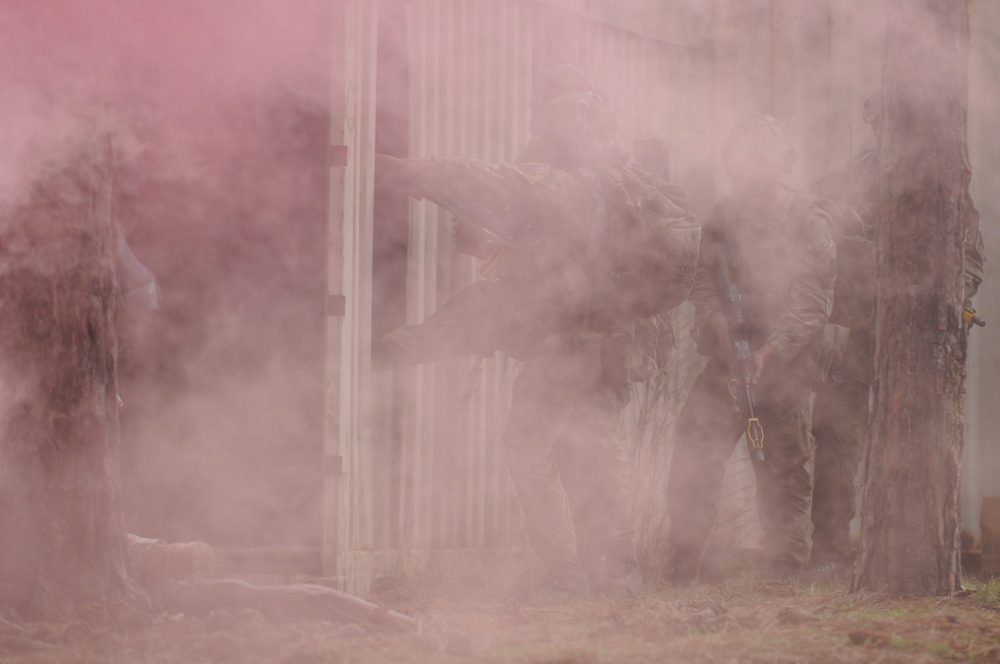 British 16 Air Assault Brigade mission Essential During Combine Joint Operational Access Exercise 15-01