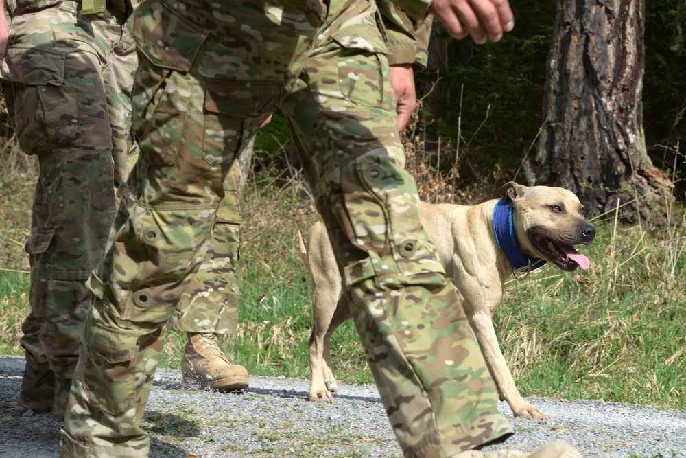 Ruck march