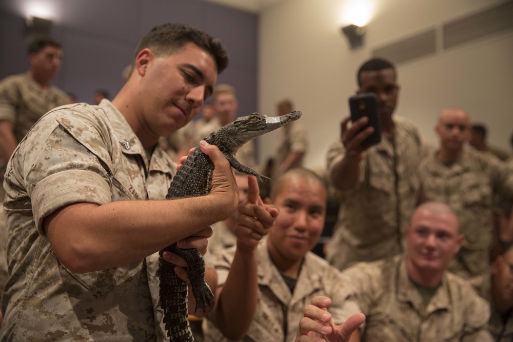 US Marines get up close and personal with wildlife in Australia