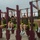 Marine recruits charge through PT session on Parris Island