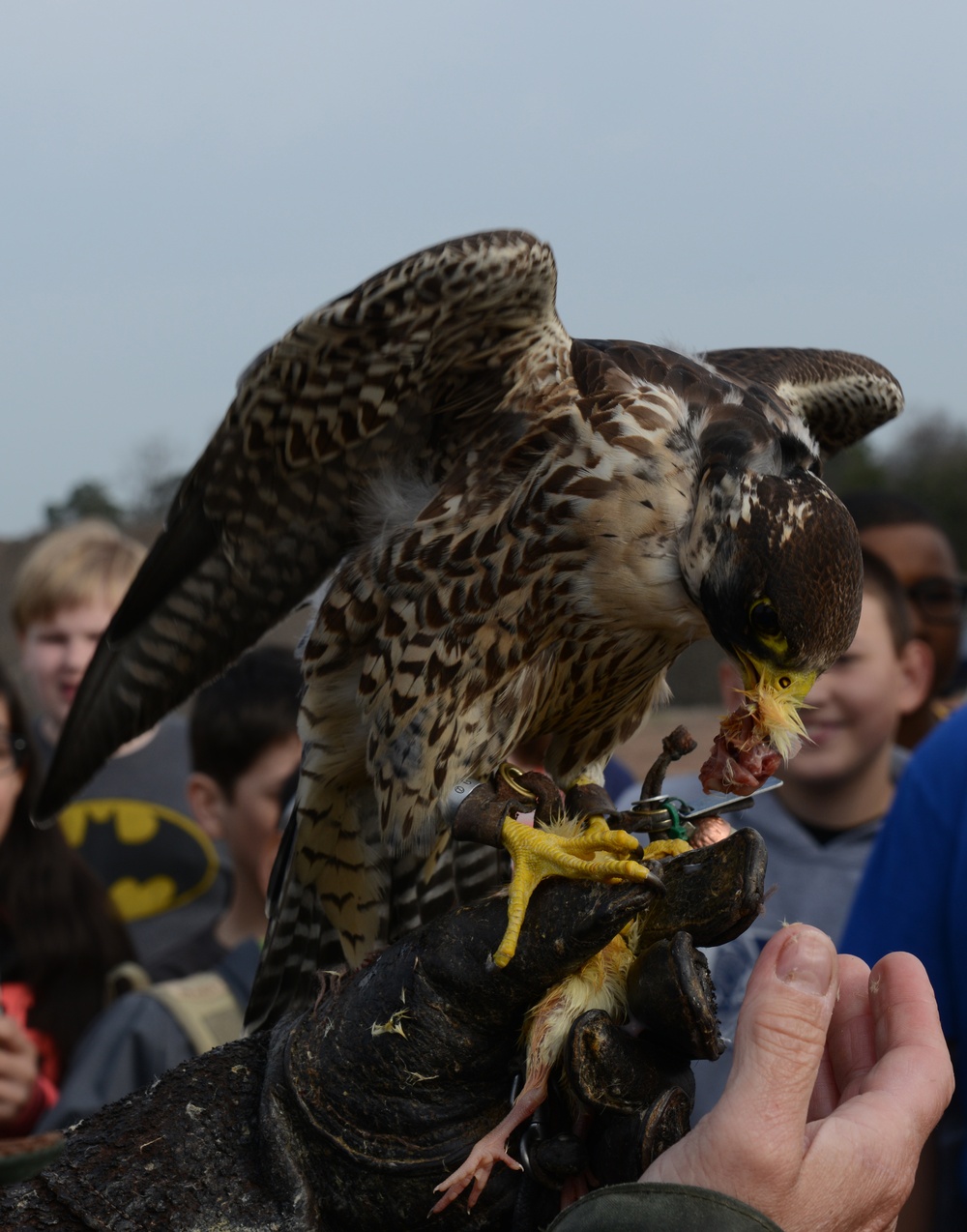 Ramstein students dive into Earth Day